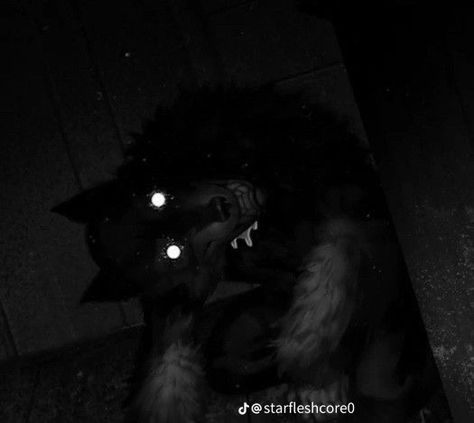 Creepy Animals, Werewolf Aesthetic, Shadow Wolf, Creepy Core, 2560x1440 Wallpaper, Scary Dogs, Scary Animals, Creepy Images, Werewolf Art