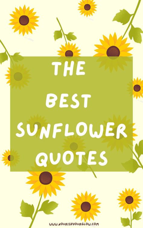 Sunflower Quotes and Captions for Instagram - Nourish Your Glow Quote About Sunshine, Sunflower Poem Quotes, Sunshine Quotes Positive Short, Sunflower Quotes Happiness, Flower Sayings Quotes, Sunshine Quotes Positive, Sunflower Quotes Inspirational, Yellow Flower Quotes, Sunflower Sayings