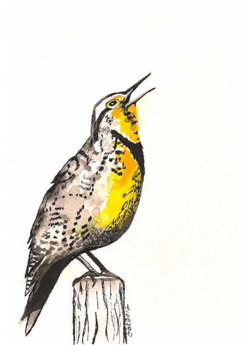 Meadowlark Tattoo, Western Meadowlark Watercolor, Red Pear, Flanders Field, Wild Birds, Pantone Color, Bird Art, Nature Art, Original Watercolors