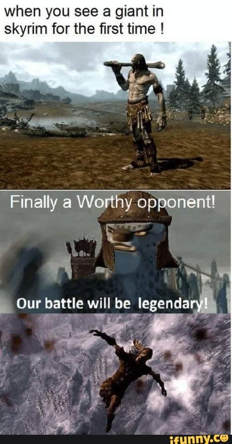 Elder Scrolls Memes, Skyrim Game, Skyrim Funny, Elder Scrolls Lore, Elder Scrolls Games, Funny Gaming Memes, Elder Scrolls Art, Elder Scrolls Skyrim, Elder Scrolls V Skyrim