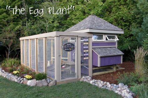 Finally our Coop, "The Egg Plant" is Finished, except for sand in the run.  Every year my husband... Portable Chicken Coop, Egg Plant, Chicken Coop Run, Coop Design, Best Chicken Coop, Atami, Chicken Coop Designs, Coop Plans, Building A Chicken Coop