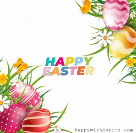 Happy Easter 2023 Gif, Animated Images | Wishes Pics Happy Easter Gifs Images, Happy Easter Animated, Easter Animation, Sunday Gif, Happy Easter Gif, Easter Vigil, Easter Saturday, Holy Saturday, Easter Festival