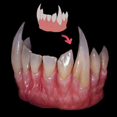 Clint Cearley (@cearleyclint) • Instagram photos and videos Teeth Reference Photos, Teeth Art Reference, Teeth Reference Drawing, Teeth Drawing Reference, How To Draw Teeth, Teeth Reference, Teeth Painting, Material Studies, Teeth Drawing