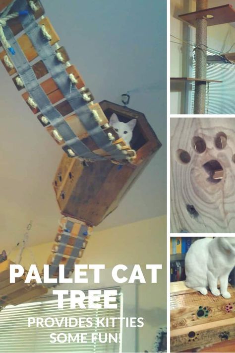 Diy: Pallet Cat Tree Provides Kitties Some Fun! Pallet Deck, Wooden Pallet Crafts, Pallet Dog Beds, Repurpose Pallets, Wire Spool, Diy Cat Tree, Pallet Boxes, 1001 Pallets, Apple Crates