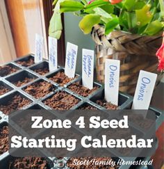 Zone 4 Seed Starting Calendar Zone 4 Vegetable Garden, Minnesota Gardening Ideas, Zone 4b Gardening, Washington Gardening, Zone 4 Gardening, Montana Gardening, Zone 4 Garden, Montana Garden, Wisconsin Gardening