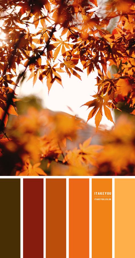 Lavender Hue – Color Palette #30 I Take You | Wedding Readings | Wedding Ideas | Wedding Dresses | Wedding Theme Autumn Colour Wedding Theme, Shades Of Autumn, Autumn Shades Colour Palettes, Fall Theme Colors, Autumn Leaves Colour Palette, Autumn Fall Color Palette, Colours Of Autumn, Fall Color Dress, Autumn Palette Color