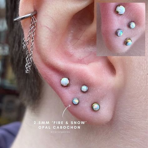 Nico Salt @ Stay Sharp on Instagram: "There will never come a time where piercing Stacked lobes isn’t the highlight of my day, especially when it’s on a good friend of mine @clairesmilesalot Earlobe piercings can be such good fun and versatile. We’re going to be popping a hoop in these once they’ve healed, but for now, here they are looking glorious with @inariorganics_uk / @inariorganics opals, atop the industry’s finest @junipurrjewelry labret posts." Stacked Earlobe Piercing, Stacked Lobe Ear Piercings, Transverse Lobe Piercing, Stacked Lobes, Stacked Lobe Piercing, Earlobe Piercings, Highlight Of My Day, Cool Ear Piercings, Body Modification