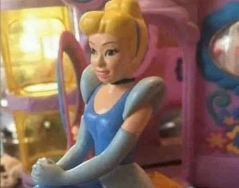 Cinderella Meme, Même Face, In A Silly Goofy Mood, Hey Girl Hey, Silly Goofy Mood, Reaction Photos, Animal Humour, Reaction Pic, Funny Reaction