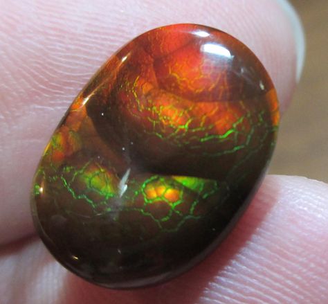 Fire Agate - looks like a dragon egg! Fire Agate Aesthetic, Fire Agate Crystal, Dragons Breath Fire Opal, Dragon Egg Crystal, Dragon Vein Agate, Luxury Amber Agate Beads, Gems And Cabochons, Dragon Egg, Fire Agate, Dragon Art