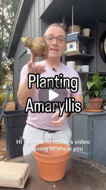 817 likes, 29 comments - ohiotropics on October 31, 2024: "🌸Planting an amaryllis is easy! Follow the tips in this video and use a nice, well-draining soil. Use your own favorite mix, or try out the mix that I used in this video for my bulb. I used the new “Bulb  Boost” mix. You can get a discount on the product by visiting ohhappyplants.shop. Search for Bulb Boost, and with code OHIOTROPICS, you get 10% off. If you want a larger discount, here are two more coupons (and they work on all their Amaryllis Planting Ideas, Amaryllis Care, Amaryllis Plant, Amaryllis Bulbs, Indoor Gardening, October 31, Planting Bulbs, Planting, Garden Ideas