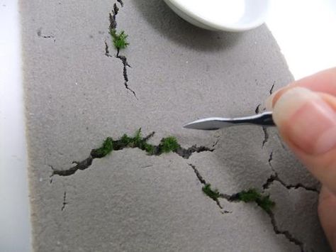 And fill the cracks Moss On Concrete, Moss Concrete, Diy Wedding Magazine, Moss Growing, Moss And Lichen, Moss Design, Moss Jewelry, Growing Moss, Cement Garden