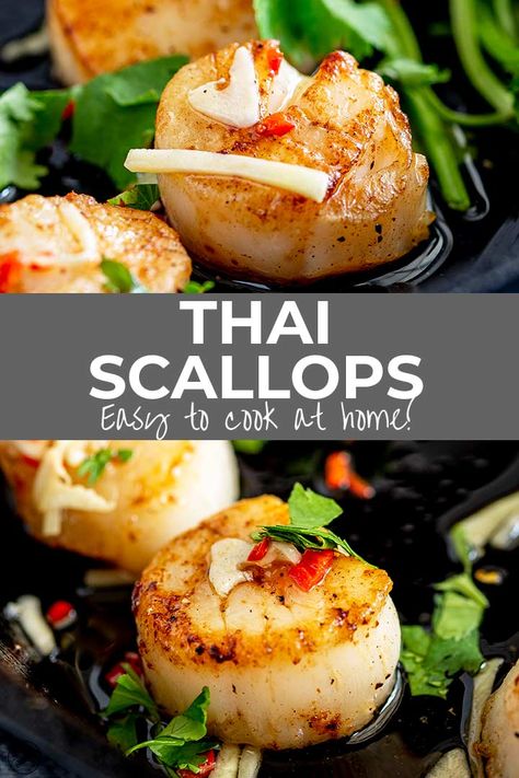 Thai Scallops make a quick and easy dinner that would be perfect for a date night dinner or Valentine's meal. They are quick to cook but taste like you are eating in a fine dining restaurant! Learn how to sear scallops perfectly and make a delicious and simple Thai style sauce with garlic, ginger, chili. Thai Scallops, Valentine's Meal, Sprouts Recipes, Date Night Dinner, Scallop Recipes, Dining Restaurant, Quick And Easy Dinner, Scallops Seared, Food Favorites