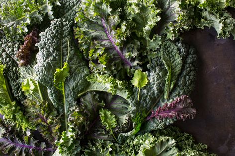 How To Store Cabbage, How To Store Kale, How To Store Celery, Chicken Kale Soup, Kale Benefits Health, Harvesting Kale, Bacon Kale, Freezing Kale, Chicken Kale