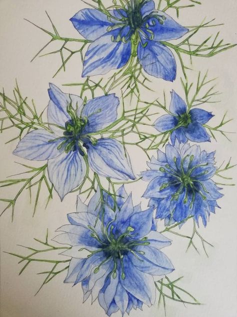 Love In The Mist Flower, Cornflower Painting, Nigella Flower, Mist Flower, Love In The Mist, Yellow Flowers Painting, Yellow Spring Flowers, Blue Flower Art, Columbine Flower