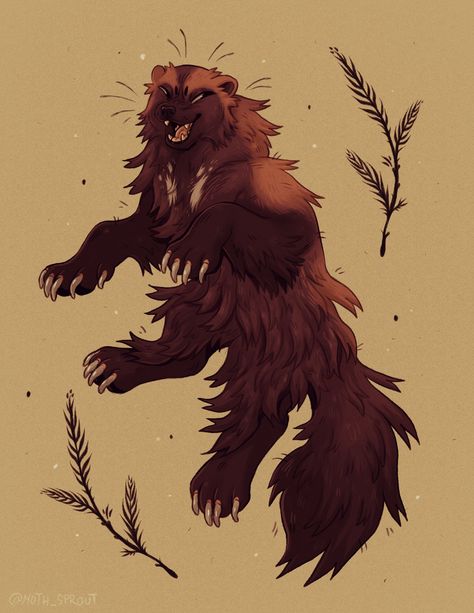 𓇙 𝕸𝖔𝖙𝖍 𓇙 on Twitter: "Wolverine! 🌲… " Wolverine Art Animal, Wolverine Fursona, Badger Fursona, Wolverine Animal Art, Wolverine Animal Drawing, Wolverines Animal, Wolverine Oc, Honey Badger Art, Wolverine Animal