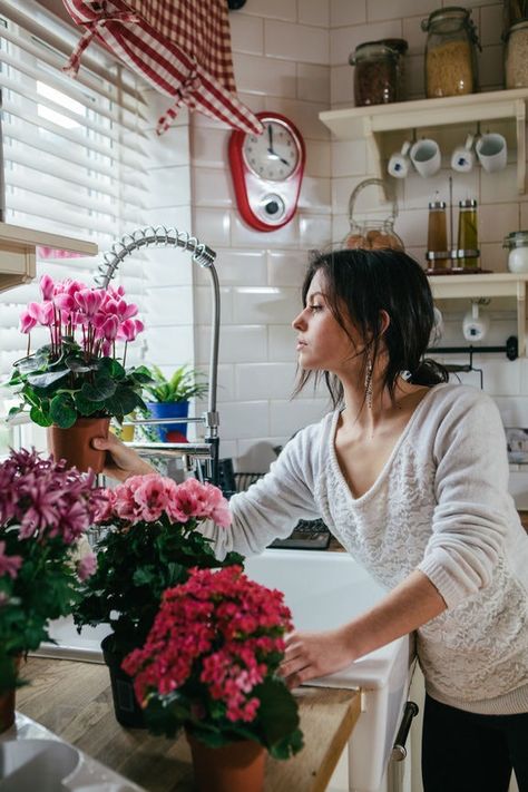 30 Instagram Captions For Flower Pots That'll Instantly Brighten Up Your Feed Personal Assistant Duties, Ilex Berries, Spring Hill Nursery, Mumford And Sons, Arbour Day, Personal Assistant, After The Storm, Flower Quotes, Fall Plants