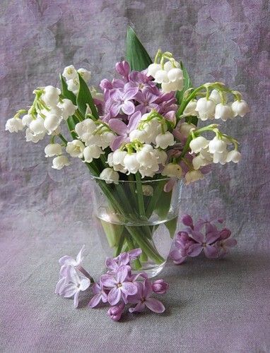 Raindrops And Roses, Lily Of The Valley Flowers, Valley Flowers, Shabby Flowers, Beautiful Flower Arrangements, Arte Floral, Flower Beauty, Beautiful Blooms, Flowers Nature