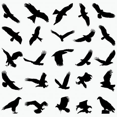 Black Eagle Tattoo, Hawk Silhouette, Bird Silhouette Tattoos, Small Eagle Tattoo, Falcon Tattoo, Tattoo Name Fonts, Vogel Silhouette, Vogel Tattoo, Eagle Silhouette