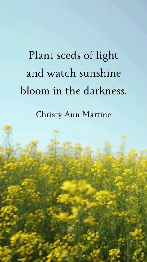 Seeds Quotes, Planting Seeds Quotes, Quotes Stay Strong, Bob Proctor Quotes, Seed Quotes, Microgreens Garden, Christy Ann Martine, Nonprofit Marketing, Stay Strong Quotes