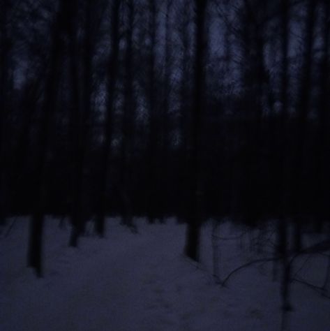 Dark Naturalism, Dark Forest Aesthetic, Snow Night, Creepy Core, Snow Forest, Forest Background, Dark Grunge, Night Forest, Snowy Forest