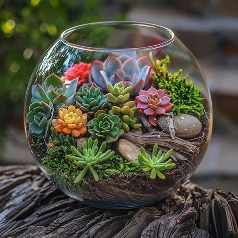 Terrarios Suculentas Ideas, Cactus House Plants, Succulent Landscape Design, Succulent Garden Indoor, Growing Gardens, Garden Decor Projects, Moss Terrarium, Garden Crafts Diy, Succulent Gardening