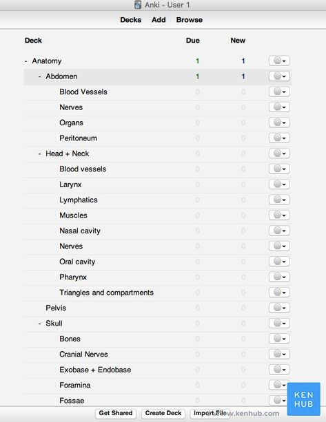 Anki Flashcards Medical, Anki Flashcards Aesthetic, Anki Aesthetic, Anki Flashcards, Mcat Motivation, Learn Anatomy, Active Recall, Anatomy Flashcards, Mcat Study