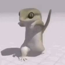 Dancing Lizard, Lizard Meme, Monkey Gif, Dancing Animated, What Gif, Funny Lizards, Gift Video, Dance Gif, Christmas Decorations Garland