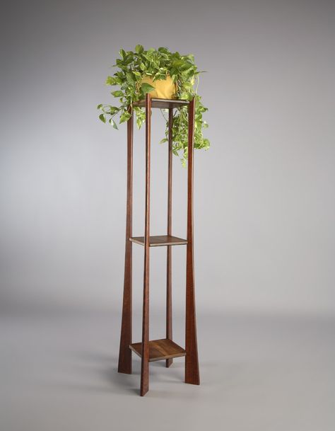 Tall Plant Stand Indoor, Plant Pedestal, Mid Century Modern Plants, Tall Plant, Budget Plan, Tall Plant Stands, Plant Stands Outdoor, Modern Plant Stand, Wooden Plant Stands