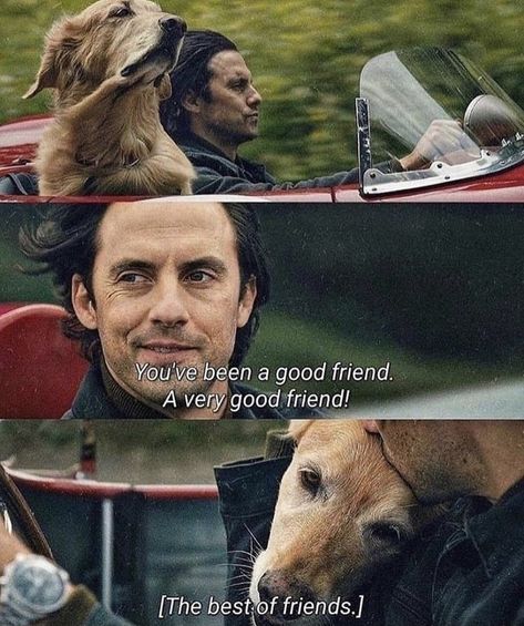 Life Movie Quotes, Racing In The Rain, A Dogs Purpose, Life Movie, Best Movie Quotes, Rain Quotes, Motivational Sayings, Character Quotes, Fictional World