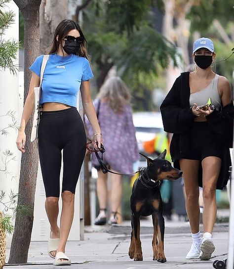 Kendall Jenner walks her dog in Shaya's Susan Leash. Shop the leash on shayapets.com