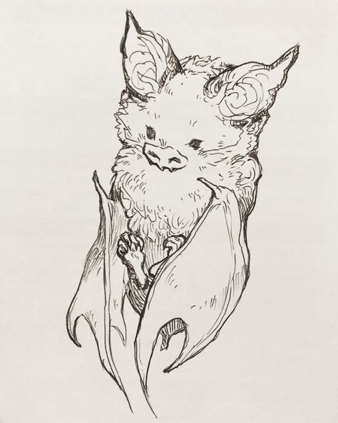 Wee babby bat ☀️ Doodled wi a ballpoint while out for dinner with my pops today. Taking a break from art right now, due to pain, has got me… Bat Drawings Cute, Creepy Bat Drawing, Cool Bat Drawing, Vintage Bat Drawing, Cute Bat Sketch, Bat Art Reference, Batt Drawing, Bat Character Art, Cute Bats Drawing