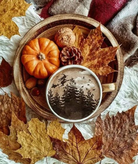 Autumn Soul, November babe on Instagram: "Morning Autumn friends. This looks like such a treat. #iloveautumn #autumnismyfavorite #ilovefallmostofall #autumn #autumn2022 #autumnaesthetic #autumncolors #autumngeek #autumnleaves #autumnmood #coldnights #cozy #cozyautumn #crispair #crunchyleaves #fall #fall2022 #fallaesthetic #fallvibes #magical #nature #novemberbabe #readyforfall #falliscoming #seasonal #sweaterweather #autumncozy #autumncore #cozyvibes #hygge" Postres Halloween, Autumn Witch, Autumn Magic, Fall Feels, Autumn Coffee, Fall Pictures, Autumn Cozy, Autumn Aesthetic, Fall Wallpaper