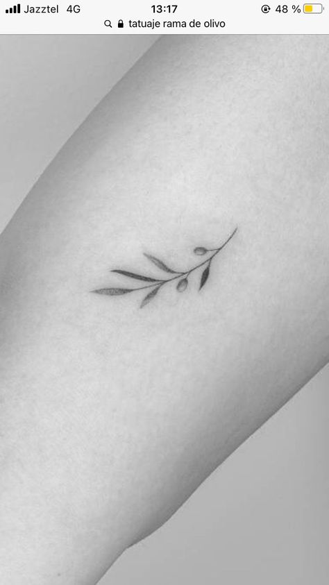 Small Olive Tree Tattoo, Olive Tattoo Small Simple, Minimal Italian Tattoo, Mini Olive Branch Tattoo, Olive Tree Leaf Tattoo, Greek Inspired Tattoos Simple, Olive Branch Line Tattoo, Olive Branch Tattoo Finger, Italian Olive Branch Tattoo