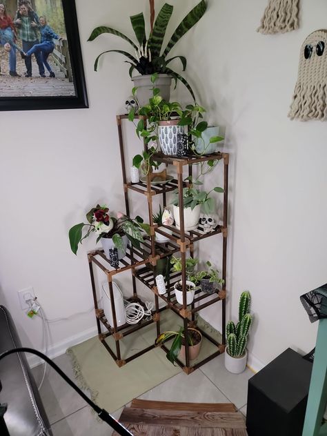 Amazon.com: Bamworld Indoor Outdoor Plant Stand Shelf Corner Table 7 Pots Holder for Living Room Multiple Plants Patio Balcony Garden Decor : Patio, Lawn & Garden Corner Shelf Plant Stand, Corner Shelf For Plants, Small Table Plants Indoor, Cube Plant Shelf, Plant Stand For Multiple Plants, Bookself With Plant Stand, Indoor Plant Shelves, Outdoor Shelves, Window Plants