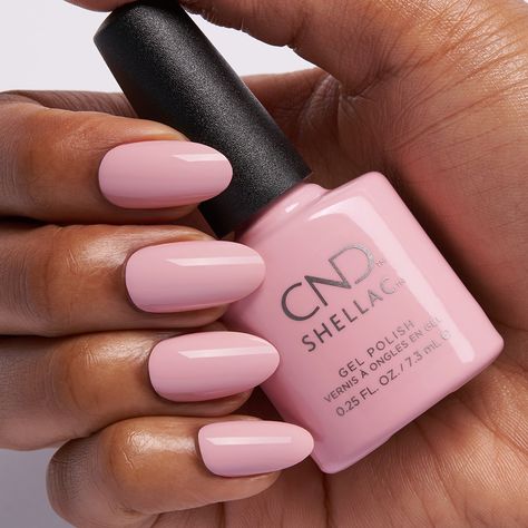 ❗️NEW❗️Carnation Bliss is a soft, cool-toned pink. Available for a limited time in #CNDShellac and #CNDVinylux. #CNDEnglishGarden Cool Toned Pink, Pink Shellac, Shellac Nail Colors, Cnd Shellac Nails, Cnd Shellac, Pink Nail Polish, Shellac Nails, Pink Nail, Nails Desing