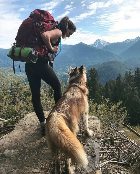 Does your pup need to stretch their legs? These are the best dog-friendly hikes near Seattle, from mountainous to low-key local walks. Explorer Aesthetic, Julia Rose, America Washington, Hiking Photography, Hiking Dogs, Dark Paradise, Camping Ideas, Parkour, Travel Goals