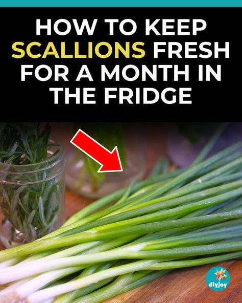 Did you know you can keep your scallions or green onions fresh for a month in your fridge? Yes, you can. Learn how to do it here. How To Keep Green Onions Fresh In Fridge, How To Keep Parsley Fresh In The Fridge, Storing Green Onions In Fridge, How To Keep Green Onions Fresh, How To Store Green Onions In Fridge, How To Store Green Onions, Crown Royal Apple, Cheese Pull Apart, Cornbread Muffins Recipe