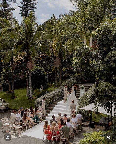 Lily Jacobs Bride ✨ All eyes on our beautiful bride Belle 🤍 The most gorgeous wedding in Madeira at The Savoy Palace ✨🌴 Congratulations to you both, we wish all the happiness & love, Tanya & Emma x Photographer: @whitesilkstudio Venue and Planning: @savoypalace DJ and cake sparklers: @xeventsmadeira Dress: @lilyjacobsbridal Decor & Flowers: @heartmade_sonhos Hair: @hairbyambscurl #destinationweddingphotographer #destinationwedding #destinationweddinginspiration #madeira #madeirawedding... Madeira Wedding, Cake Sparklers, Congratulations To You, Destination Wedding Inspiration, Decor Flowers, All Eyes, All About Eyes, Gorgeous Wedding, Beautiful Bride