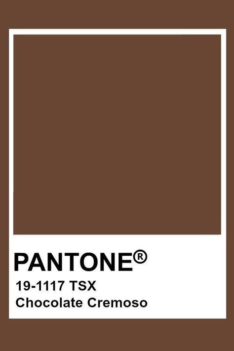 Pantone Chocolate, Brown Pantone, Pantone Color Chart, Pantone Swatches, Pantone Palette, Pantone Colour Palettes, My Energy, Chocolate Brown Colour, Chocolate Color