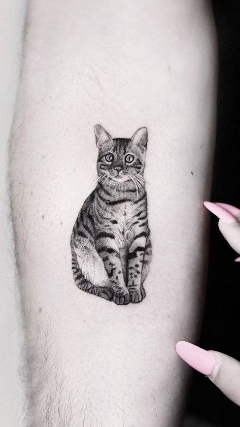 A Cat Tattoo, Cat Face Tattoos, Cat Portrait Tattoos, Cute Cat Tattoo, Petit Tattoo, Cat Tattoos, Cat Tattoo Designs, Painting Tattoo, Nature Tattoos