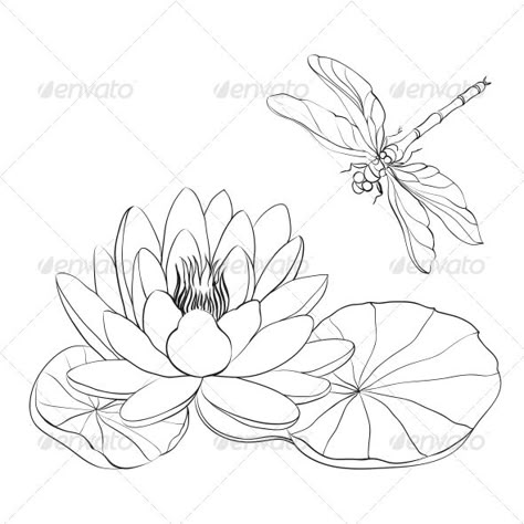 Water Lily and Dragonfly. - Flowers & Plants Nature Water Lily Drawing, Hur Man Ritar Blommor, Dragonfly Drawing, Lilies Drawing, Dragonfly Art, Pola Sulam, Line Drawings, Stained Glass Patterns, Water Lily