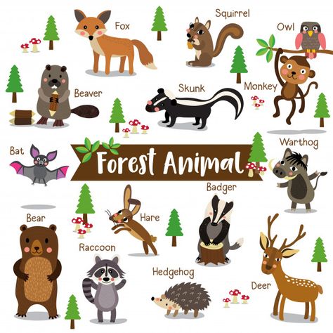 Logos Retro, Forest Habitat, Animal Habitats, Forest Animal, Animal Cartoon, Spring Activities, Toddler Learning Activities, Toddler Learning, Cool Pets