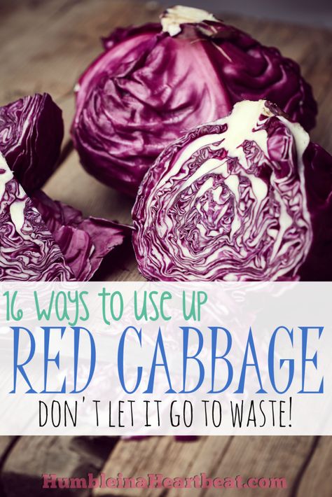 Leftover Ingredients: Red Cabbage | Feeding Our Flamingos How To Shred Cabbage, Purple Cabbage Recipes, Cabbage Recipes Healthy, Red Cabbage Recipes, Veggie Delight, Purple Cabbage, Cabbage Recipes, Red Cabbage, Vegetable Sides