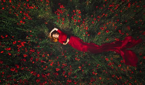 RED Sea - Neven Ivanov on Fstoppers Poppy Field Photoshoot, Photoshoot Red Dress, Poppies Photography, Oz Aesthetic, Poppy Photography, Field Photoshoot, Ideas Photoshoot, Boho Maternity, Spring Maternity