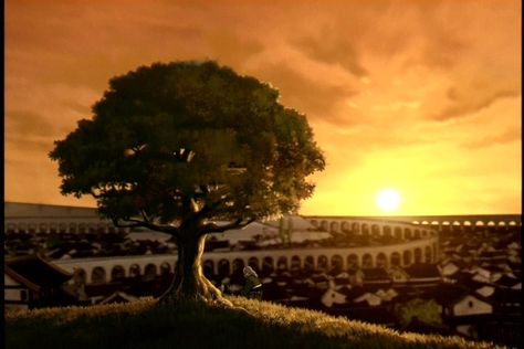 Avatar Studios, Avatar Legend Of Aang, Avatar: The Last Airbender, Bg Design, Avatar Picture, Avatar The Last Airbender Art, Team Avatar, Fire Nation, Avatar Airbender