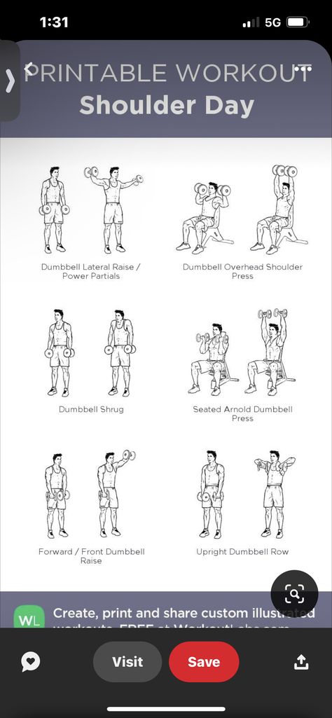 Lateral Raises Dumbbell, Shoulder Workout Women, Dumbbell Press, Shoulder Day, Lateral Raises, Printable Workouts, Shoulder Workout