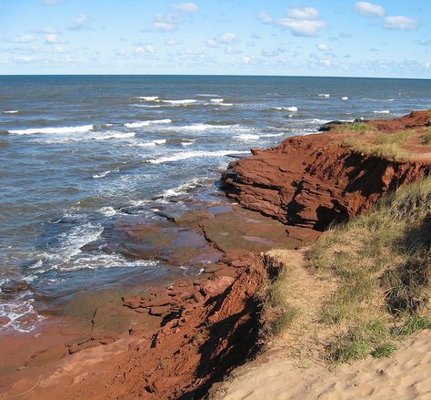 Price Edward Island, Canadian Countryside, Cavendish Pei, Cavendish Beach, Pei Canada, Canada Cruise, Prince Edward Island Canada, Red Sandstone, Beautiful Canada