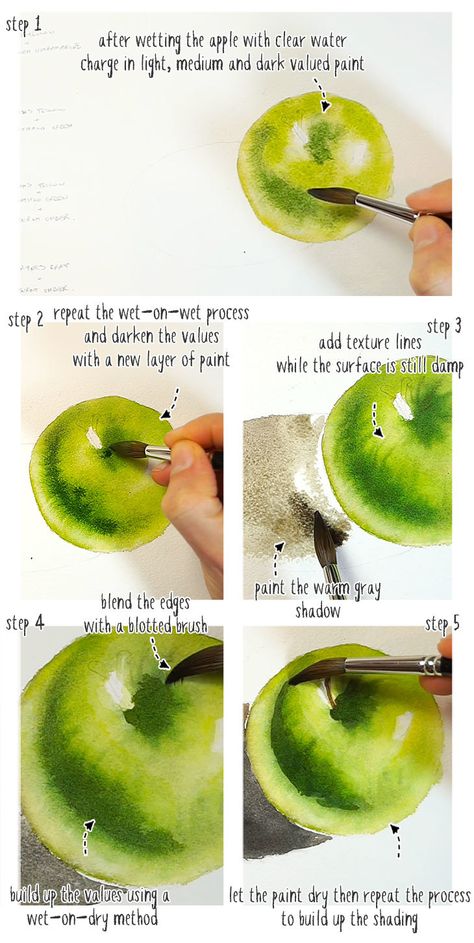 Watercolor Realism Tutorial, Watercolor Combinations Color Combos, Realistic Watercolor Paintings Nature, Fruit Watercolor Painting Easy, Beginners Watercolor Step By Step, Watercolor Shading Techniques, Realistic Watercolor Painting Techniques, Watercolor Paintings Fruit, Watercolor Art Step By Step