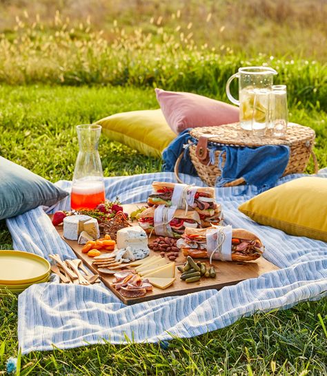 The Picnic Blankets Picnic Dinner Ideas, Romantic Picnic Food, Dinner Ideas For Two, Wine Snacks, Picnic Dinner, Romantic Picnic, Seared Chicken Breast, Easy Chicken Breast, Picnic Essentials