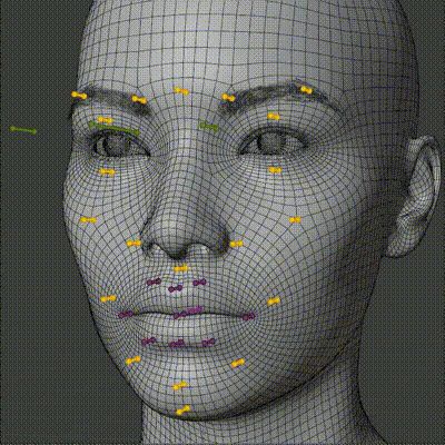 ArtStation - Human Generator | FACS facial rig Blender Character Modeling, Face Generator, Face Blender, Character Rigging, Anatomy Models, Character Artist, Female Head, Animation Tutorial, Robots Concept